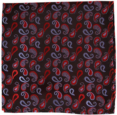 Nuevo Pañuelo Cuadrado de Bolsillo Milani Para Hombre Poli Tejido Solo Paisley Rojo Borgoña Foto 1 de 2