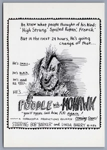 1993 Pudel mit Mohawk Bob Barker & Linda Barry Postkarte - Bild 1 von 2