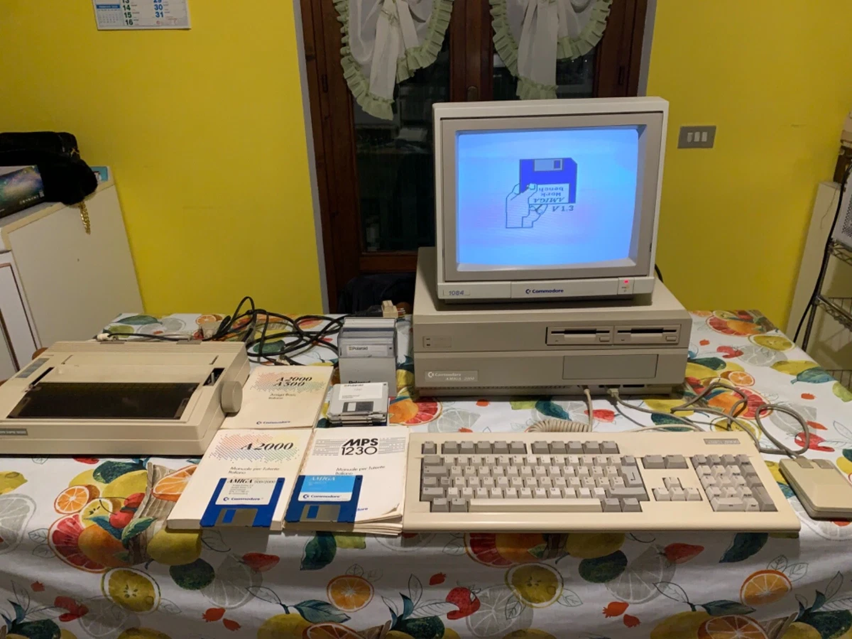 Computer vintage Commodore Amiga 2000 | Acquisti Online su eBay
