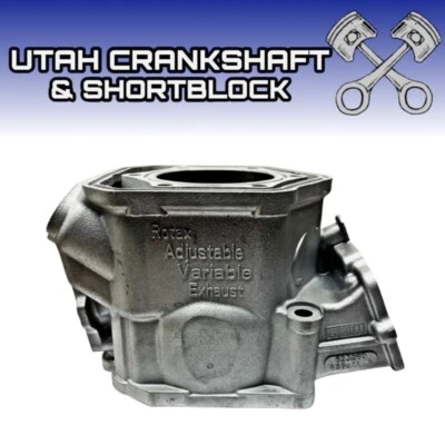 Plated Ski-Doo 600 HO E-TEC Cylinder MXZ TNT 2009 623260 420623260 - Image 1 of 4