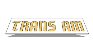 1976 1977 1978 Black Trans Am Special Edition German Gold Name Bird Stripe Decal - Picture 1 of 14