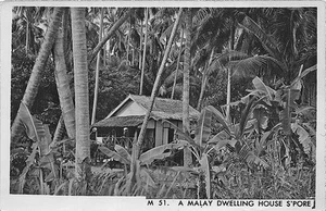 Singapore China "A Malay Dwelling House" RPPC Postcard - Picture 1 of 1