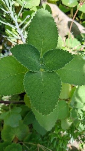 Foto 1 di 19