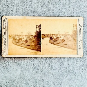 Winding Street Horse Vintage Stereoview Karte Webster & Albee Verlag Rochester NY - Bild 1 von 4