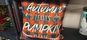 Herbst Dekorationen Herbst Veranda Indoor/Outdoor Dekokissen 16"X 16" Orange/Schwarz - Bild 1 von 1