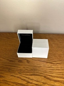 2 joyeros vacíos Pandora Charm SOLO EN CAJA - Imagen 1 de 1