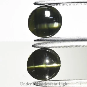 💎 0.36ct Oval Cabochon Natural Green Cat's Eye Augite - Sri-Lanka Gem - Picture 1 of 6