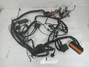 Harley-Davidson 1998 Road King EVO Wiring Harness Complete EFI 70233-97 - Foto 1 di 15