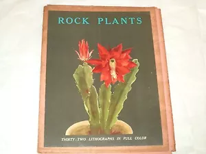 1948 Art Collection - 32 Lithographs In Full Color By Arlette Davids Rock Plants - Picture 1 of 8