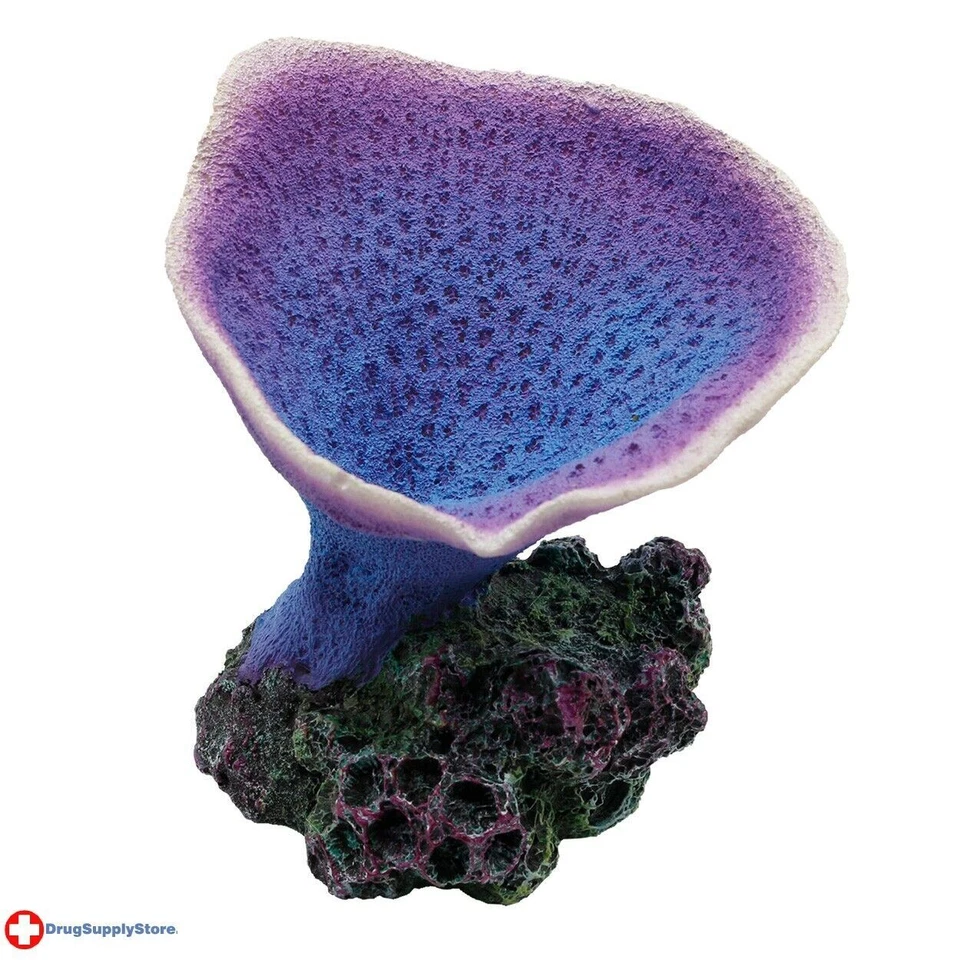 RA Elephant Ear Coral - Púrpura 3.5" x 3.3" Foto 1 de 1