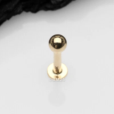Bola de ouro 14 quilates parte superior traseira plana labret - Imagem 1 de 4