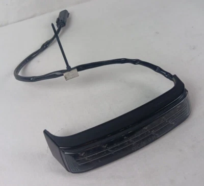 ALFORJA HARLEY DAVIDSON 14-24 TOURING ELECTRA GLO LUZ DE FRENO DE GIRO LH Foto 1 de 4