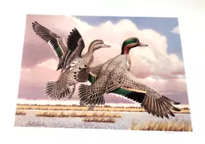 First of State Kansas 1987-88 Guy Coheleach Duck print with stamp and Medallion - Picture 1 of 4