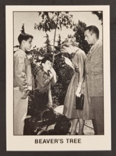 Leave It To Beaver 1983 Pacific Card #25 (NM)