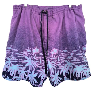Bañador Catalina Forrado Para Hombre Talla Grande Multicolor Poliéster Palmeras - Imagen 1 de 18