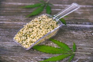 500g geschälte Hanfsamen Hanf Samen Hanfsaat VEGAN Top Qualität 0,5 Kg - Bild 1 von 2