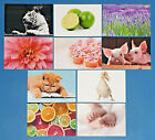 set of 10 NEW Mixed Postcards great for Postcrossing & Postcardsofkindness set 3