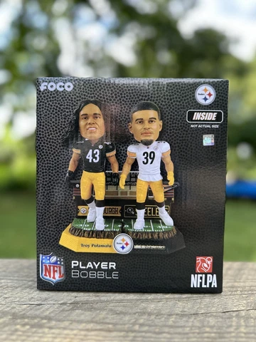 Troy Polamalu & Minkah Fitzpatrick Pittsburgh Steelers Then Now Bobble NEW FOCO Cover