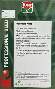 Fagiolo - Nano - ANAFI - Mangiatutto - precoce - serra - pieno campo - resistent - Foto 1 di 2