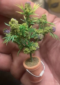 1:24 (2.5”-4”) Marijuana Plant Orange 5 Gallon Bucket (1) - Doll House Accessory - Picture 1 of 3