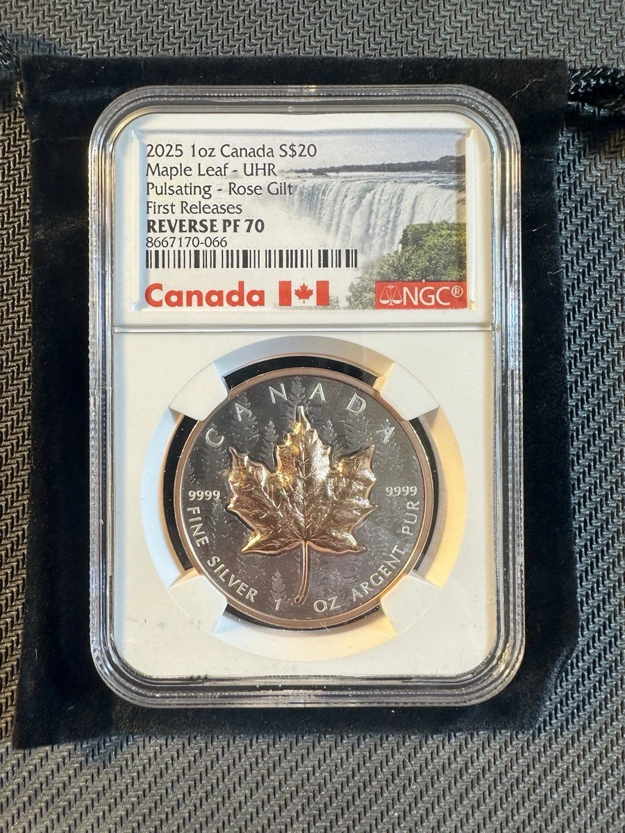 2020年 カナダビーバーNGC PF70　5954091-013 2020年 カナダビーバーコインNGC PF70 5954091-013 - メルカリ