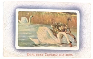 Antigua postal c 1910 FELICITACIONES MÁS CORDIALES publicada  - Imagen 1 de 2