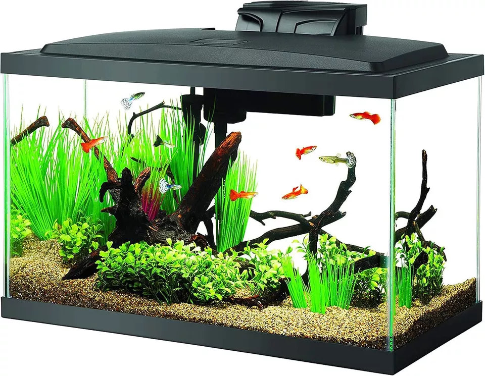 Aqueon Aquarium Fish Tank Starter Kit with LED Lighting 10 Gallon Fish Tank - Image 1 of 4