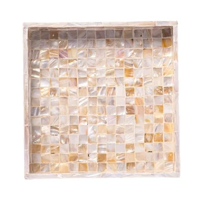 Bandeja Catchall Madreperla 10" para Mesa de Centro, Entrada, Mesita de Noche. Squ... - Imagen 1 de 9