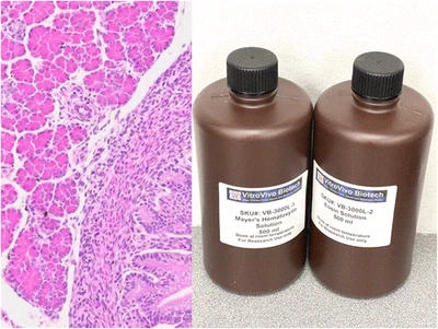 Kit de manchas de hematoxilina y eosina (HE) VitroView™ (500 ml/botella) (CAT# VB-3000L) Foto 1 de 4