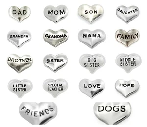 Floating Charms Hearts Love Family for Glass Memory Lockets - Picture 1 of 19