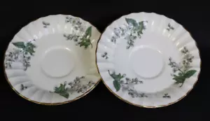 Royal Worcester Valencia 2- 6-1/4" CREAM SOUP SAUCER 's (SET of TWO) - Picture 1 of 5