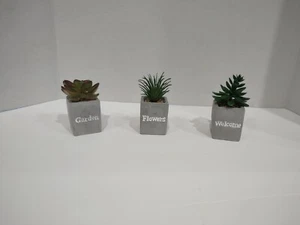 Plant Artificial Decor Faux Succulents Potted Mini Set 3 Grey Cement Like Pots - Picture 1 of 5