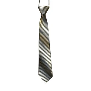 Kids Pre Tied Tie Metallic Silver Golden Shimmer Shiny Adjustable Alberto Cabale - Picture 1 of 8