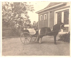 TWO TEENAGE BOYS TWO WHEEL BUGGY PONY ORIGINAL PHOTO VINTAGE 8x10" PHOTOGRAPH - Picture 1 of 2