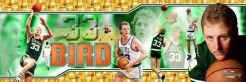 Larry Bird Boston Celtics PARQUET PANORAMA Ultimate Career Collage POSTER Print Cover