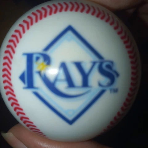 2008 Tampa Bay Rays Mini Ball 2" Officially Licensed Hard Plastic Cover