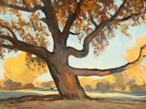OLD TREE in Autumn  by Maynard Dixon - Picture 1 of 1