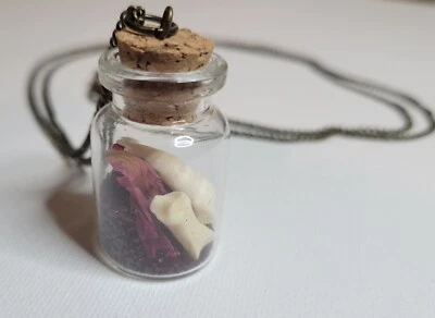 Roses and Toes Necklace Pendant- Rose Petals, Coyote Toe Bones, Potion Bottle - Image 1 of 4