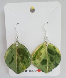 REAL Leaf And  RESIN Earrings  - Picture 1 of 1