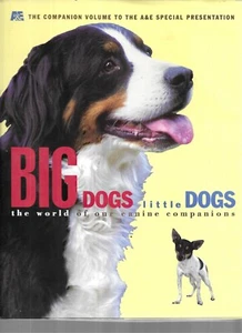 BIG DOGS LITTLE DOGS 1998 - INKLUSIVE ABSCHNITT "A STAR'S BEST FRIEND" - Bild 1 von 5