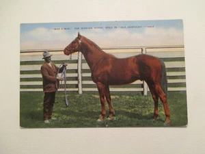 Kentucky Postkarte Man O War the Wonder Horse KY - Bild 1 von 2