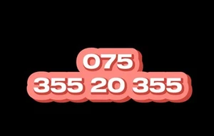 VIP Gold Mobile Number Easy Memorable SIM Platinum Diamond Business EE - Zdjęcie 1 z 1