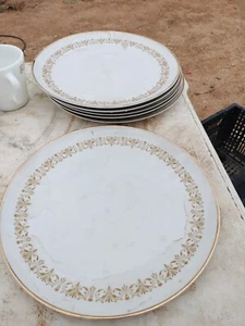 Sheffield Fine China Imperial Gold 504 Y Dinner Plates 10.25” - Picture 1 of 3