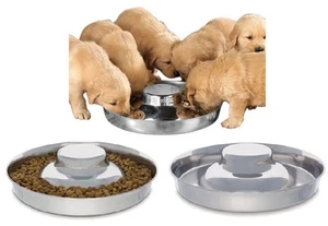 Platillo tazón de acero inoxidable para sartén de arena para cachorros múltiple plato perro elige el tamaño - Imagen 1 de 11