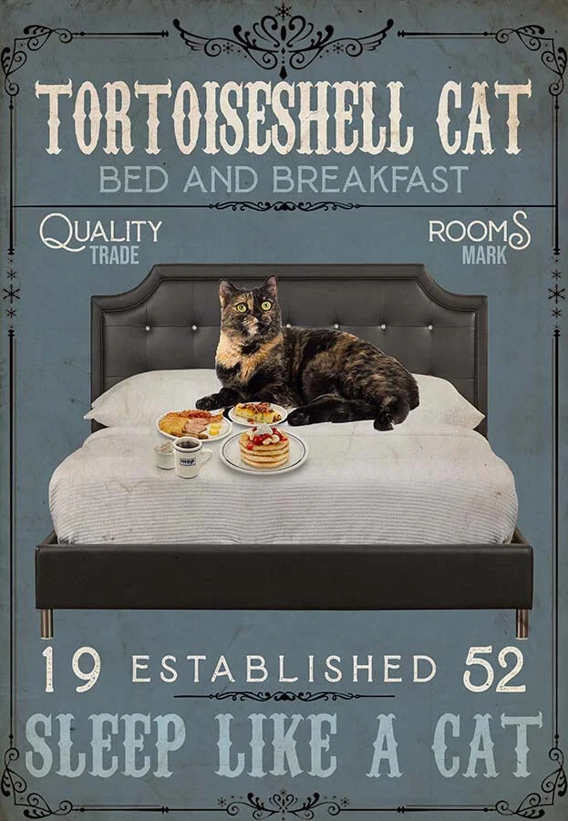 Tortoiseshell Cat, Funny Vintage Sign Poster, Wall Art Decor, Ready To Hang - Image 1 of 1