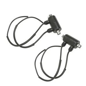 2 Ignition Coil Fit For Honda VT750C Shadow 750 1983 / VT800C Shadow 800 1988 - Foto 1 di 14