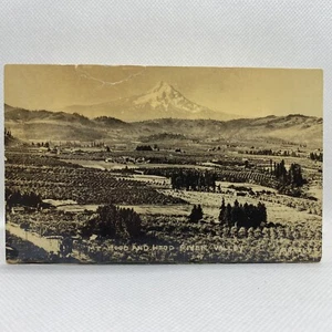 RPPC River Valley und MT Hood Oregon Postkarte - Bild 1 von 4