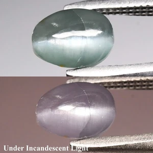 💎 0.92ct Oval Cabochon Natural Green Cat's Eye Alexandrite - Russia Gemstone - Picture 1 of 6