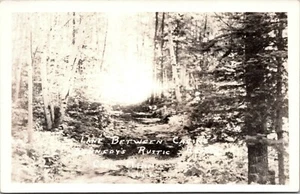 Lane Between Cabins Kennedy's Rustic Resort Cook Minnesota RPPC - Picture 1 of 2