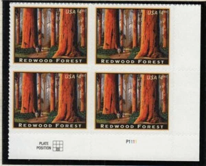 2009 Redwood Forest $4.95 high-value Sc 4378 plate block of 4 P1111LR CV $45 - Picture 1 of 1
